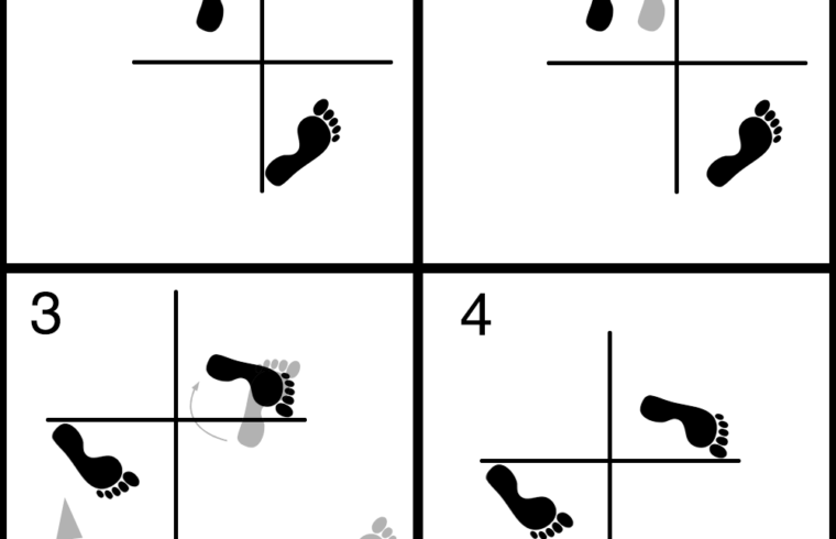 Mma Moves Step By Step
