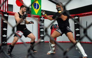 MMA fighters in a cage